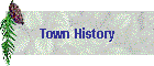 Town History